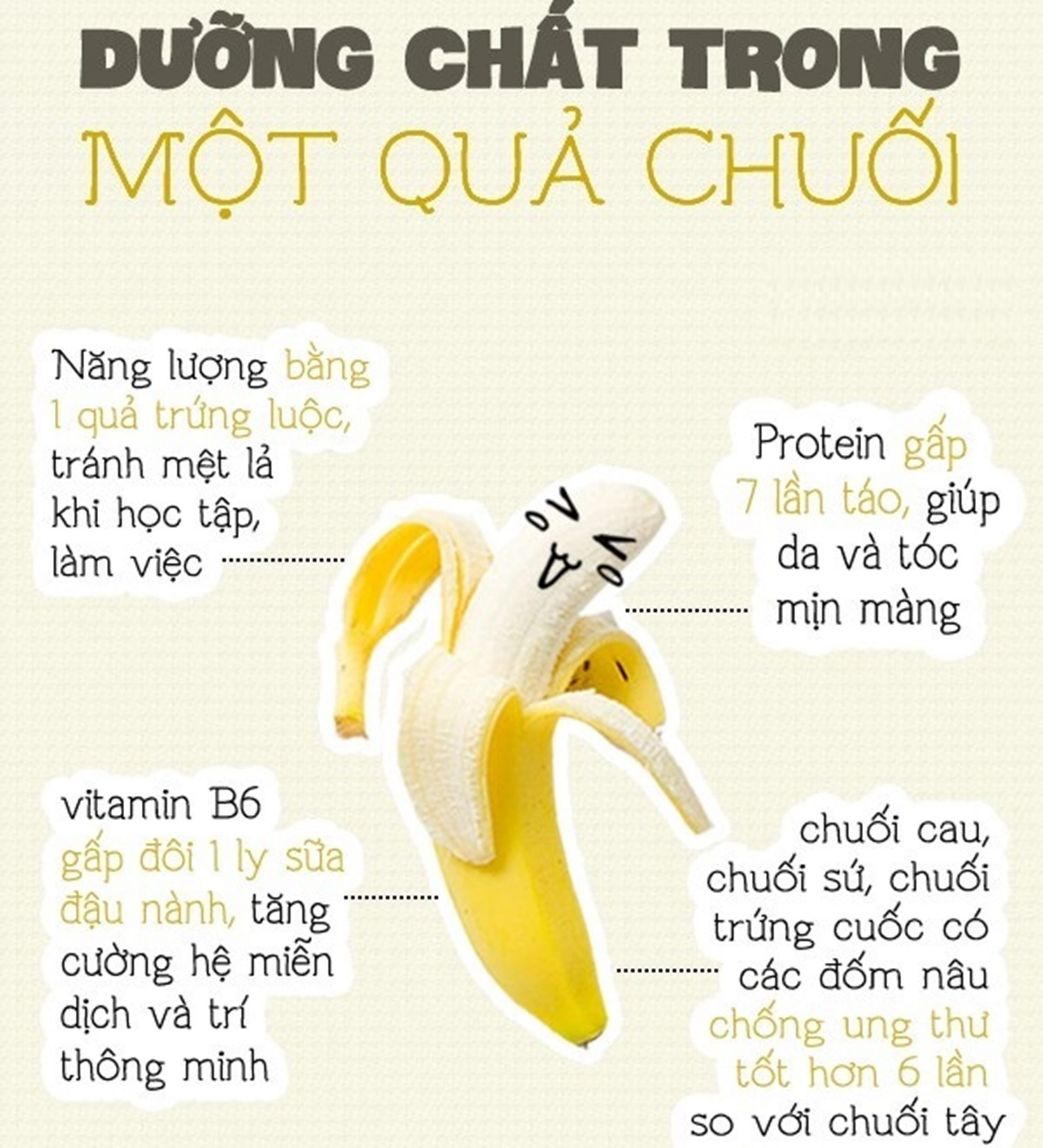 Công dụng của chuối – Loại trái cây “nhỏ mà có võ” cho sức khỏe và sắc đẹp