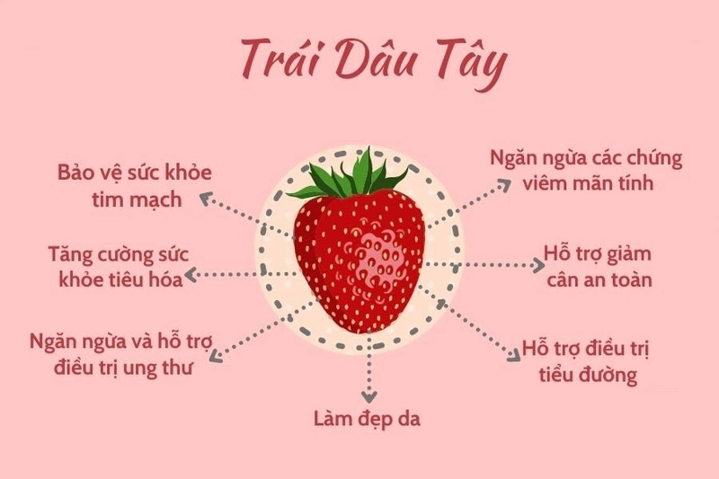 Công dụng của dâu tây – Siêu trái cây đỏ mọng cho sức khỏe và sắc đẹp